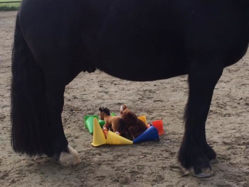 Familie Bescherming